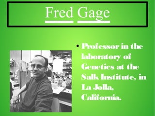 Fred Gage
●

Professor in the
laboratory of
Genetics at the
Salk Institute, in
La Jolla,
California.

 