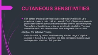 CUTANEOUS SENSITIVITIES
 Skin senses are groups of cutaneous sensitivities which enable us to
experience pressure, pain, cold, and warmth. Each of these experiences is
produced by different stimuli and is mediated by different sets of receptors.
The surface of the skin is not uniformly sensitive to stimulation. There are
insensitive areas, and sensitive areas have a degree of specialization.
Attention: The Selective Principle
An individual is, by nature, sensitive to only a limited range of physical
energies in the world. For example, one does not respond to radio waves
and supersonic vibrations of air particles.
 