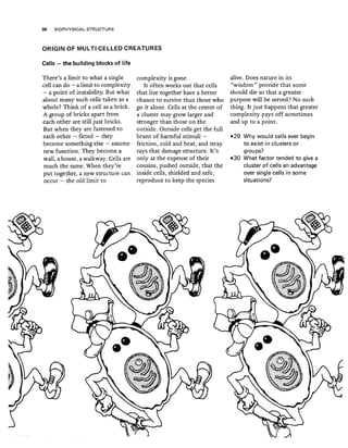30 BIOPHYSICAL STRUCTURE
ORIGIN OF MULTI-CELLED CREATURES
Cells - the building blocks of life
There's a limit to what a single'
cell can do - a limit to complexity
- a point of instability. But what
about many such cells taken as a
whole? Think of a cell as a brick.
A group of bricks apart from
each other are still just bricks.
But when they are fastened to
each other - fitted - they
become something else - assume
new function. They become a
wall, ahouse, a walkway. Cells are
much the same. When they're
put together, a new structure can
occur - the old limit to
complexity is gone.
It often works out that cells
that live together have a better
chance to survive than those who
go it alone. Cells at the center of
a cluster may grow larger and
stronger than those on the
outside. Outside cells get the full
brunt of harmful stimuli -
friction, cold and heat, and stray
rays that damage structure. It's
only at the expense of their
cousins, pushed outside, that the
inside cells, shielded and safe,
reproduce to keep the species
alive. Does nature in its
"wisdom" provide that some
should die so that a greater
purpose will be served? No such
thing. It just happens that greater
complexity pays off sometimes
and up to a point.
-29 Why would cells ever begin
to exist in clusters or
groups?
-3D What factor tended to give a
cluster of cells an advantage
over single cells in some
situations?
 