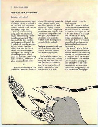 76 BIOPHYSICAL BASES
FEEDBACK STIMULUS CONTROL
Evolution with anima 'is
Now let's look at one more form
of stimulus control - feedback -
one that helps both simple and
complex creatures. First, let's see
how it helps simple ones.
One day while swimming
along, Gore, the parameci'um,
banged into something - some-
thing bigger than itself. What
happened? Did Gore just keep
banging away until it died? No.
It backed off, turned at an angle,
and then moved ahead in a
slightly new path . But then it
banged into the object again,
backing off, and turning at yet
another angle before moving
ahead one more time. After doing
that a few times, Gore arrived at
a free course and swam away.
..
***
Let's look more closely at this.
Gore made a response - a forward
motion. The response produced a
result - Gore's banging into
something, bouncing off, and
heading on a slightly changed
path. So that result changed the
nature of the next response, with
Gore moving along its new path.
This cycle (response-results-
altered response) is called a
feedback cycle. The response is
controlled by its feedback.
Feedback stimulus control: con-
trol of the form or path of a
response by stimuli resulting
from a preceding response.
Feedback helps creatures sur-
vive since without it they'd keep
making the same error time and
time again until it killed them.
'"So we're not surprised that all
moving creatures that have
survived seem to be under
feedback control - even the
simple amoeba.
Now this example of feedback
control involves more than mere
mechanical action. It's not like a
billiard ball bouncing off the side
of the table it strikes at an angle.
Even if Gore hits the thing
straight on, it still moves off at
some angle, that way of respond-
ing resulting from the structure
that evolved as Gore's species ,
the paramecia.
But we don't label as feedback
all things that affect a creature's
response. Weonly label something
feedback if it changes the nature
of a response and is the result of
an earlier response. For instance,
Gore swam along a clear path
~f~c:~ ~C:~~!!!g f~c:c: 9'f ~hc: 9!2.jc:~~
standing in its way. But then a
current came along pushing Gore
onto a new course, changing its
 