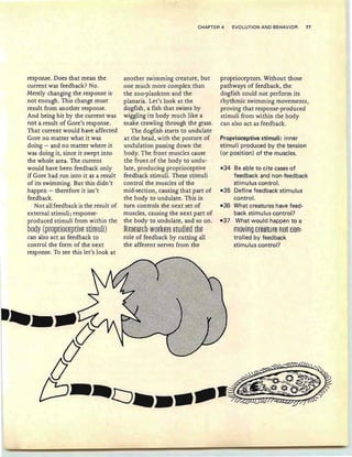 CHAPTER 4 EVOLUTION AND BEHAVIOR 71
response. Does that mean the
current was feedback? No.
Merely changing the response is
not enough. This change must
result from another response.
And being hit by the current was
not a result of Gore's response.
That current would have affected
Gore no matter what it was
doing - and no matter where it
was doing it, since it swept into
the whole area. The current
would have been feedback only
if Gore had run into it as a result
of its swimming. But this didn't
happen - therefore it isn't
feedback.
Not all feedback is the result of
external stimuli; response-
produced stimuli from within the
body (proprioceptive stimuli)
can also act as feedback to
control the form of the next
response. To see this let's look at
another swimming creature, but
one much more complex than
the zoo-plankton and the
planaria. Let's look at the
dogfish, a fish that swims by
wiggling its body much like a
snake crawling through the grass.
The dogfish starts to undulate
at the head, with the posture of
undulation passing down the
body. The front muscles cause
the front of the body to undu-
late , producing proprioceptive
feedback stimuli. These stimuli
control the muscles of the
mid-section, causing that part of
the body to undulate. This in
turn controls the next set of
muscles, causing the next part of
the body to undulate, and so on.
Ite§eaFCfl Wmkef§ §tudied the
role of feedback by cutting all
the afferent nerves from the
proprioceptors. Without those
pathways of feedback, the
dogfish could not perform its
rhythmic swimming movements,
proving that response-produced
stimuli from within the body
can also act as feedback .
Proprioceptive stimuli: inner
stimuli produced by the tension
(or position) of the muscles.
-34 Be able to cite cases of
feedback and non-feedback
stimulus control.
-35 Define feedback stimulus
control.
-36 What creatures have feed-
back stimulus control?
-37 What would happen to a
moving EHl1HUFe R8t E8R:
trolled by feedback
stimulus control?
 