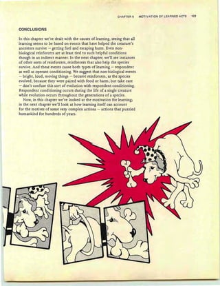 CHAPTER 5 MOTIVATION OF LEARNED ACTS 101
CONCLUSIONS
In this chapter we've dealt with the causes of learning, seeing that all
learning seems to be based on events that have helped the creature's
ancestors survive - getting fuel and escaping harm. Even non-
biological reinforcers are at least tied to such helpful conditions
though in an indirect manner. In the next chapter, we'll see instances
of other sorts of reinforcers , reinforcers that also help the species
survive. And these events cause both types of learning - respondent
as well as operant conditioning. We suggest that non-biological events
- bright, loud, moving things - became reinforcers, as the species
evolved, because they were paired with food or harm; but take care
- don't confuse this sort of evolution with respondent conditioning.
Respondent conditioning occurs during the life of a single creature
while evolution occurs throughout the generations of a species.
Now, in this chapter we've looked at the motivation for learning;
in the next chapter we'll look at how learning itself can account
for the motives of some very complex actions - actions that puzzled
humankind for hundreds of years.
 