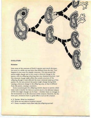 EVOLUTION
Mutation
Now most of the creatures of Dodo's species were much the same,
but once in a while one was born that differed from the rest. That
happens in two ways for simpler creatures: The area around the
parent might change and in turn cause a chemical change in the
parent, with its offspring inheriting that new chemical structure. And
this chemical change might affect the outside structure of the
offspring though it only affected the inner chemical make-up of the
parent. Or, the area around the parent might change during birth
causing a chemical change in the offspring only, so that it differed
from the parent, causing a mutation.
Some mutations give the offspring a better chance to survive, while
some make it harder for them to survive since in the delicate balance
of life even slight changes can be fatal - whether these are changes in
the environment or in the structure of the creature. However, for the
most part, mutations have no great effect at all on the creature.
- 9 Review: What is a mutation?
-10 What are two ways a mutation occurs?
-11 Does a mutation most often help the offspring survive?
 