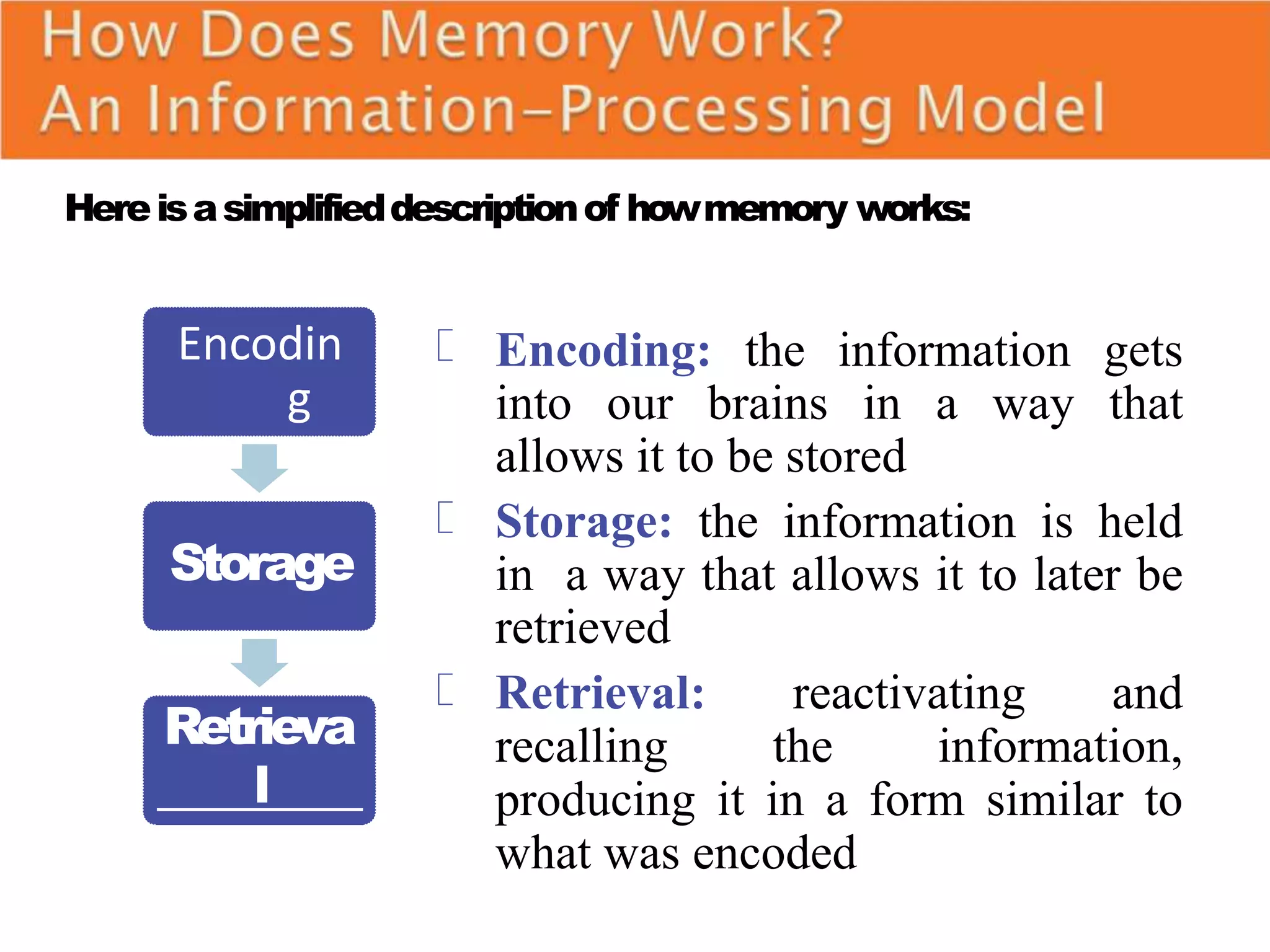 Hereisasimplifieddescriptionof howmemory works:
Encoding: the information gets
into our brains in a way that
allows it to be stored
Storage: the information is held
in a way that allows it to later be
retrieved
Retrieval: reactivating and
recalling the information,
producing it in a form similar to
what was encoded
Encodin
g
Storage
Retrieva
l
 