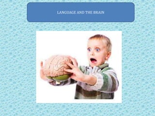 LANGUAGE AND THE BRAIN
 