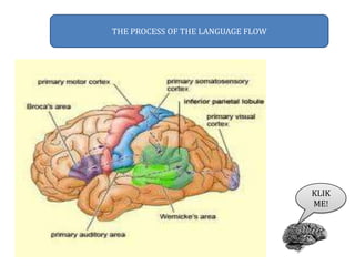 THE PROCESS OF THE LANGUAGE FLOW
KLIK
ME!
 