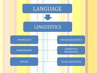 LANGUAGE
LINGUISTICS
PHONOLOGY
MORPHOLOGY
SYNTAX
SEMANTICS
PRAGMATICS
PSYCHOLINGUISTICS
SOCIOLINGUISTICS
 