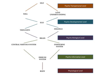 SELF
LOVE
UNDERSTANDINGWILL
EGO
FEELINGS
THOUGHTS
BRAIN
ENDOCRINE
SYSTEM
CENTRAL NERVOUS SYSTEM
IMMUNE
SYSTEM
BODY
Psycho Transpersonal Level
Psycho Developmental Level
Psycho Biological Level
Psycho Informative Level
Physiological Level
 