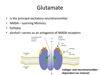 Glutamate
• is the principal excitatory neurotransmitter
• NMDA – Learning Memory
• Epilepsy
• alcohol—serves as an antagonist of NMDA receptors
voltage- and neurotransmitter-
dependent ion channel
 