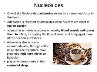 Nucleosides
• One of the Nucleosides, adenosine serves as a neuromodulator in
the brain.
• Adenosine is released by astrocytes when neurons are short of
fuel or oxygen.
• adenosine activates receptors on nearby blood vessels and causes
them to dilate, increasing the flow of blood and bringing of more
of the needed substances
• Adenosine also acts as a
neuromodulator, through action
on adenosine receptors. have
generally inhibitory effects on
behavior
• play an important role in the
control of sleep
 