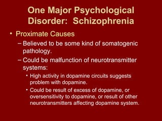 One Major Psychological 
Disorder: Schizophrenia 
• Proximate Causes 
– Believed to be some kind of somatogenic 
pathology. 
– Could be malfunction of neurotransmitter 
systems: 
• High activity in dopamine circuits suggests 
problem with dopamine. 
• Could be result of excess of dopamine, or 
oversensitivity to dopamine, or result of other 
neurotransmitters affecting dopamine system. 
 
