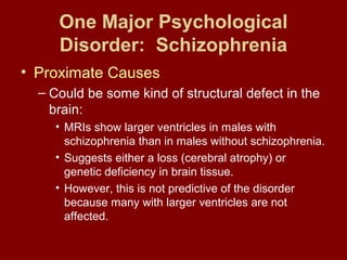 One Major Psychological 
Disorder: Schizophrenia 
• Proximate Causes 
– Could be some kind of structural defect in the 
brain: 
• MRIs show larger ventricles in males with 
schizophrenia than in males without schizophrenia. 
• Suggests either a loss (cerebral atrophy) or 
genetic deficiency in brain tissue. 
• However, this is not predictive of the disorder 
because many with larger ventricles are not 
affected. 
 