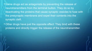 • Some drugs act as antagonists by preventing the release of
neurotransmitters from the terminal button. They do so by
deactivating the proteins that cause synaptic vesicles to fuse with
the presynaptic membrane and expel their contents into the
synaptic cleft.
• Other drugs have just the opposite effect: They bind with these
proteins and directly trigger the release of the neurotransmitter.
 