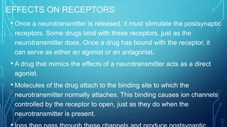 EFFECTS ON RECEPTORS
• Once a neurotransmitter is released, it must stimulate the postsynaptic
receptors. Some drugs bind with these receptors, just as the
neurotransmitter does. Once a drug has bound with the receptor, it
can serve as either an agonist or an antagonist.
• A drug that mimics the effects of a neurotransmitter acts as a direct
agonist.
• Molecules of the drug attach to the binding site to which the
neurotransmitter normally attaches. This binding causes ion channels
controlled by the receptor to open, just as they do when the
neurotransmitter is present.
 