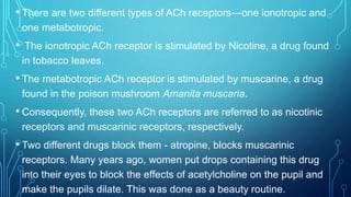 • There are two different types of ACh receptors—one ionotropic and
one metabotropic.
• The ionotropic ACh receptor is stimulated by Nicotine, a drug found
in tobacco leaves.
• The metabotropic ACh receptor is stimulated by muscarine, a drug
found in the poison mushroom Amanita muscaria.
• Consequently, these two ACh receptors are referred to as nicotinic
receptors and muscarinic receptors, respectively.
• Two different drugs block them - atropine, blocks muscarinic
receptors. Many years ago, women put drops containing this drug
into their eyes to block the effects of acetylcholine on the pupil and
make the pupils dilate. This was done as a beauty routine.
 