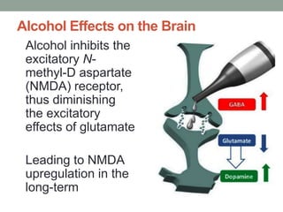 Alcohol Effects on the Brain
Alcohol inhibits the
excitatory N-
methyl-D aspartate
(NMDA) receptor,
thus diminishing
the excitatory
effects of glutamate
Leading to NMDA
upregulation in the
long-term
 