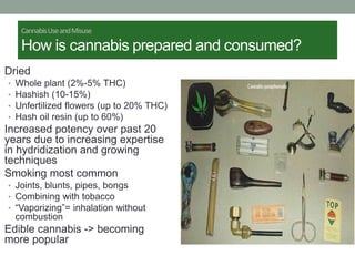 CannabisUseandMisuse
How is cannabis prepared and consumed?
• Dried
• Whole plant (2%-5% THC)
• Hashish (10-15%)
• Unfertilized flowers (up to 20% THC)
• Hash oil resin (up to 60%)
• Increased potency over past 20
years due to increasing expertise
in hydridization and growing
techniques
• Smoking most common
• Joints, blunts, pipes, bongs
• Combining with tobacco
• “Vaporizing”= inhalation without
combustion
• Edible cannabis -> becoming
more popular
 