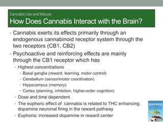 CannabisUseandMisuse
How Does Cannabis Interact with the Brain?
• Cannabis exerts its effects primarily through an
endogenous cannabinoid receptor system through the
two receptors (CB1, CB2)
• Psychoactive and reinforcing effects are mainly
through the CB1 receptor which has
• Highest concentrations
• Basal ganglia (reward, learning, motor control)
• Cerebellum (sensorimotor coordination)
• Hippocampus (memory)
• Cortex (planning, inhibition, higher-order cognition)
• Dose and time dependent
• The euphoric effect of cannabis is related to THC enhancing
dopamine neuronal firing in the reward pathway
• Euphoria: increased dopamine in reward center
 