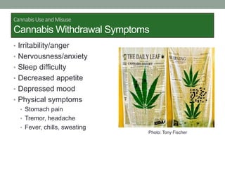 CannabisUseandMisuse
Cannabis Withdrawal Symptoms
• Irritability/anger
• Nervousness/anxiety
• Sleep difficulty
• Decreased appetite
• Depressed mood
• Physical symptoms
• Stomach pain
• Tremor, headache
• Fever, chills, sweating
Photo: Tony Fischer
 