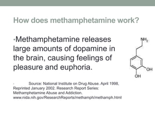 How does methamphetamine work?
•Methamphetamine releases
large amounts of dopamine in
the brain, causing feelings of
pleasure and euphoria.
• Source: National Institute on Drug Abuse. April 1998,
Reprinted January 2002. Research Report Series:
Methamphetamine Abuse and Addiction.
www.nida.nih.gov/ResearchReports/methamph/methamph.html
 