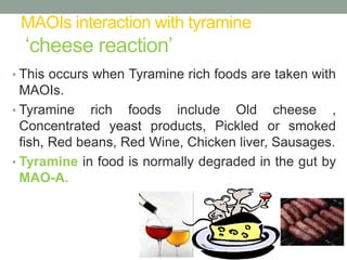 MAOIs interaction with tyramine
‘cheese reaction’
• This occurs when Tyramine rich foods are taken with
MAOIs.
• Tyramine rich foods include Old cheese ,
Concentrated yeast products, Pickled or smoked
fish, Red beans, Red Wine, Chicken liver, Sausages.
• Tyramine in food is normally degraded in the gut by
MAO-A.
 