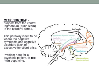MESOCORTICAL-
projects from the ventral
tegmentum (brain stem)
to the cerebral cortex.
This pathway is felt to be
where the negative
symptoms and cognitive
disorders (lack of
executive function) arise.
Problem here for a
psychotic patient, is too
little dopamine.
 