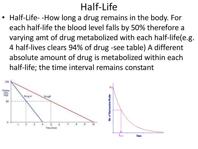 Benzoylecgonine Half Life Chart