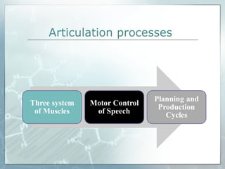 Articulation processes
 