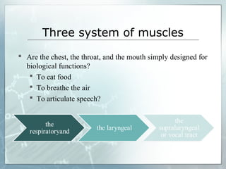 Three system of muscles
 Are the chest, the throat, and the mouth simply designed for
biological functions?
 To eat food
 To breathe the air
 To articulate speech?
 