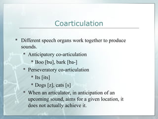 Coarticulation
 Different speech organs work together to produce
sounds.
 Anticipatory co-articulation
 Boo [bu], bark [ba-]
 Perseveratory co-articulation
 Its [its]
 Dogs [z], cats [s]
 When an articulator, in anticipation of an
upcoming sound, aims for a given location, it
does not actually achieve it.
 