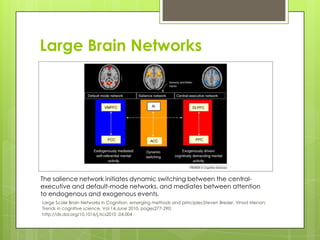 Large Brain Networks




The salience network initiates dynamic switching between the central-
executive and default-mode networks, and mediates between attention
to endogenous and exogenous events.
Large Scale Brain Networks in Cognition, emerging methods and principles;Steven Bresler, Vinod Menon;
Trends in cognitive science, Vol 14,June 2010, pages277-290;
http://dx.doi.org/10.1016/j.tics2010 .04.004
 