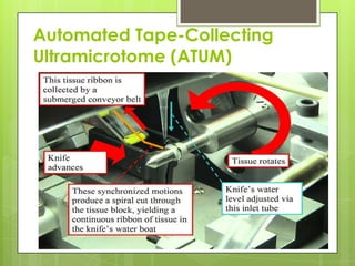 Automated Tape-Collecting
Ultramicrotome (ATUM)
 