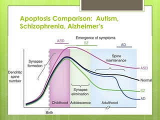 Apoptosis Comparison: Autism,
Schizophrenia, Alzheimer’s
 