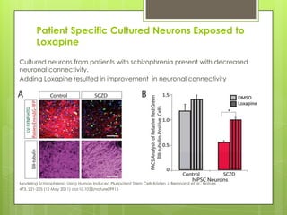 Patient Specific Cultured Neurons Exposed to
        Loxapine
Cultured neurons from patients with schizophrenia present with decreased
neuronal connectivity.
Adding Loxapine resulted in improvement in neuronal connectivity




Modeling Schizophrenia Using Human Induced Pluripotent Stem Cells;Kristen J. Bernnand et al.; Nature
473, 221-225 (12 May 2011) doi:10.1038/nature09915
 