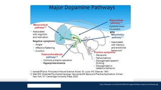 High Risk State Psychosis High Risk State and Schizophrenia Prodrome | PPTX