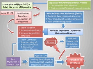 Psychosis: Diathesis Stress Model (transition to adult levels of dopamine from teens)