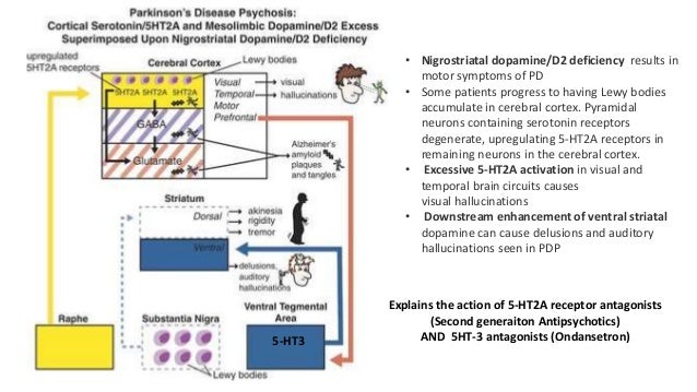 Parkinsons Disease Progression >> Psychosis in parkinsons disease Parkinsons Disease Progression >> Psychosis in parkinsons disease