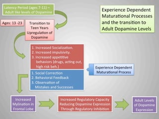 Psychosis non psychotic mind - Transition to Adulthood