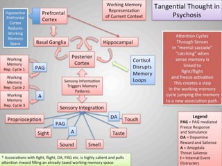 Psychosis - Model of Tangentiality in Psychosis