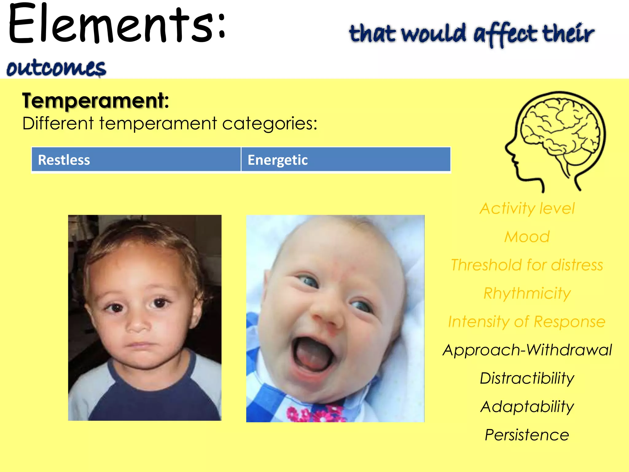 Elements:
Temperament:
Different temperament categories:
Activity level
Mood
Threshold for distress
Rhythmicity
Intensity of Response
Approach-Withdrawal
Distractibility
Adaptability
Persistence
Restless Energetic
 