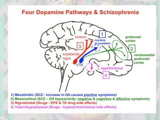 Psychotics | PPTX