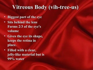 Vitreous Body (vih-tree-us)Vitreous Body (vih-tree-us)
• Biggest part of the eyeBiggest part of the eye
• Sits behind the lensSits behind the lens
Forms 2/3 of the eye'sForms 2/3 of the eye's
volumevolume
• Gives the eye its shape,Gives the eye its shape,
keeps the retina inkeeps the retina in
place.place.
• Filled with a clear,Filled with a clear,
jelly-like material but isjelly-like material but is
99% water99% water
 
