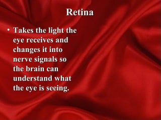 RetinaRetina
• Takes the light theTakes the light the
eye receives andeye receives and
changes it intochanges it into
nerve signals sonerve signals so
the brain canthe brain can
understand whatunderstand what
the eye is seeing.the eye is seeing.
 