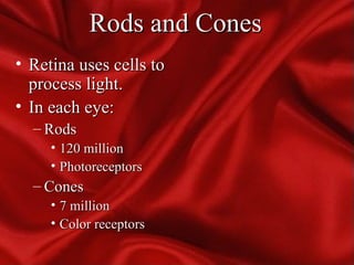 Rods and ConesRods and Cones
• Retina uses cells toRetina uses cells to
process light.process light.
• In each eye:In each eye:
– RodsRods
• 120 million120 million
• PhotoreceptorsPhotoreceptors
– ConesCones
• 7 million7 million
• Color receptorsColor receptors
 