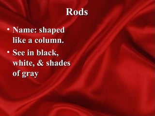 RodsRods
• Name: shapedName: shaped
like a column.like a column.
• See in black,See in black,
white, & shadeswhite, & shades
of grayof gray
 