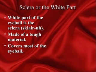 Sclera or the White PartSclera or the White Part
• White part of theWhite part of the
eyeball is theeyeball is the
sclera (sklair-uh).sclera (sklair-uh).
• Made of a toughMade of a tough
material.material.
• Covers most of theCovers most of the
eyeball.eyeball.
 