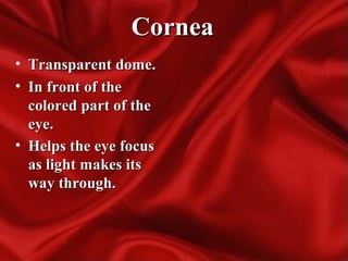 CorneaCornea
• Transparent dome.Transparent dome.
• In front of theIn front of the
colored part of thecolored part of the
eye.eye.
• Helps the eye focusHelps the eye focus
as light makes itsas light makes its
way through.way through.
 