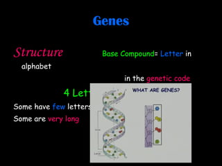 Genes Structure Base Compound =  Letter  in alphabet  in the  genetic code   4 Letters  (A,C,G,U) Some have   few   letters.  Some are  very long 