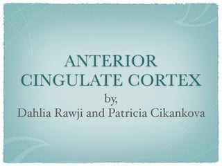 ANTERIOR
CINGULATE CORTEX
                by,
Dahlia Rawji and Patricia Cikankova
 
