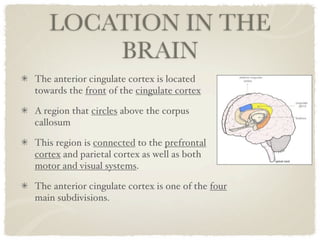 LOCATION IN THE
       BRAIN
The anterior cingulate cortex is located
towards the front of the cingulate cortex

A region that circles above the corpus
callosum

This region is connected to the prefrontal
cortex and parietal cortex as well as both
motor and visual systems.

The anterior cingulate cortex is one of the four
main subdivisions.
 
